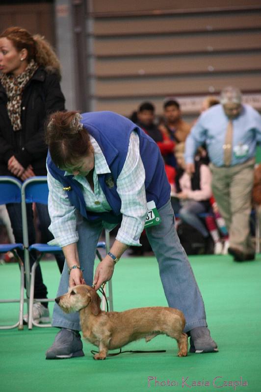 Crufts2011_2 788.jpg